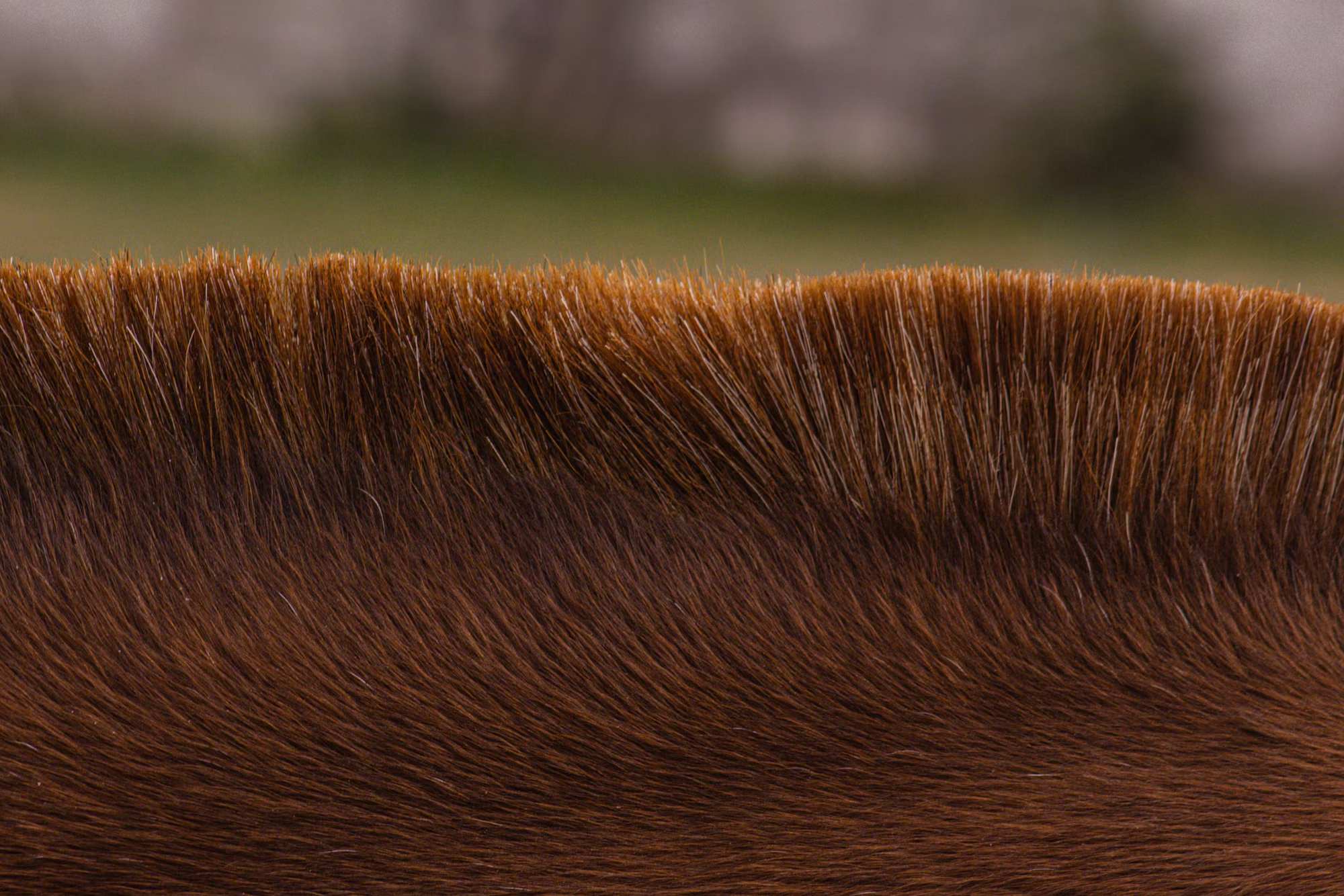 Elevating Your Look: Hair Trends and Tips for 2024